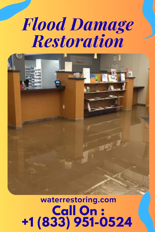 Flood Damage Restoration in White Knoll, SC