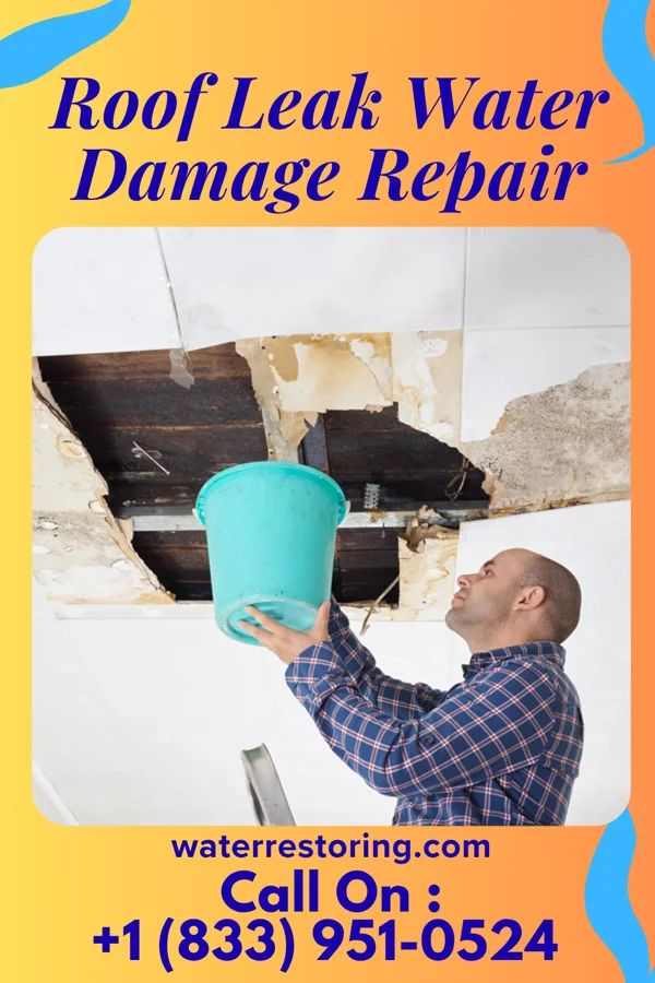 Roof Leak Water Damage Repair in White Knoll, SC