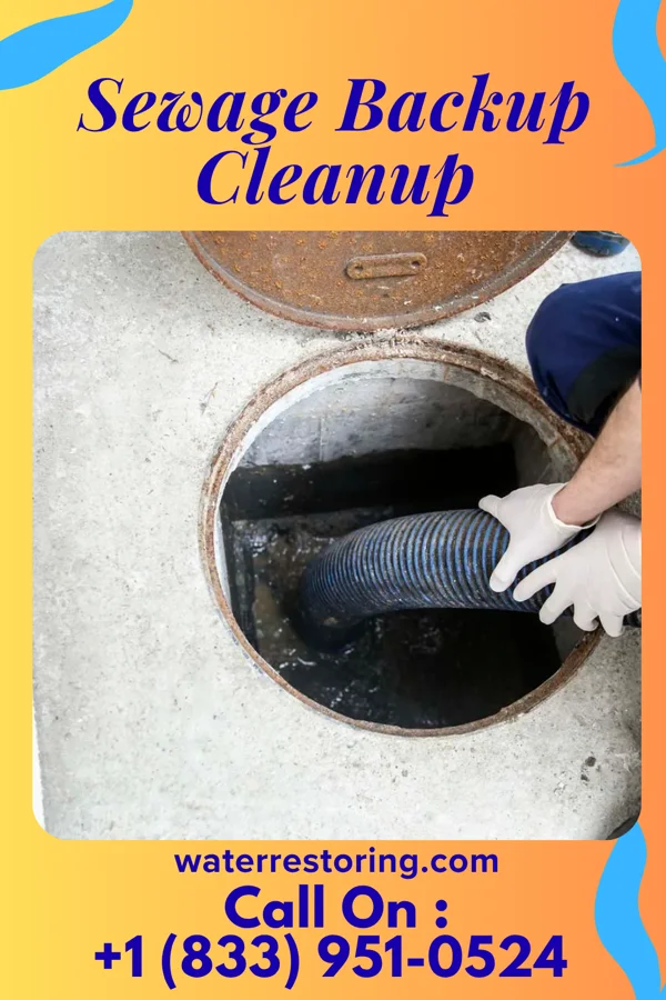 Sewage Backup Cleanup in White Knoll, SC